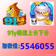 91y游戏推荐充值金币上分下分＋薇:5546055