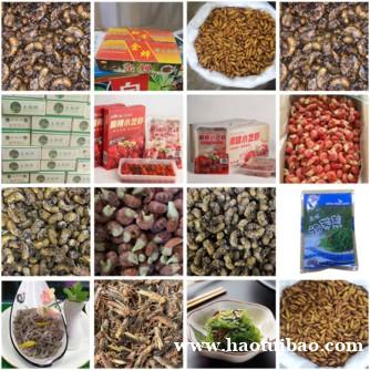 金蝉 蚂蚱 龙虾尾 鱼皮 裙带菜 知了猴 金蝉 蚂蚱 龙虾尾 鱼皮 裙带菜 知了猴