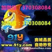 91y游戏币充值上下分 91y游戏买卖金币回收充值上分下分