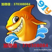 91y游戏币充值上下分 91y游戏充值金币下分上分银商比例