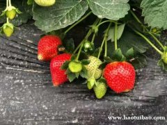 深圳户外生态园九龙生态园