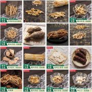 牛大力 五指毛桃等鲜货干货养生汤料药材批发