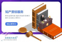 沈阳专业知识产权贯标辅导机构 知识产权贯标办理