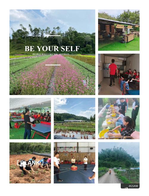 深圳农家乐旅游活动策划拓展训练推荐 深圳农家乐旅游活动策划拓展训练推荐