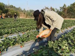 深圳龙华周边值得一去的农家乐九龙生态园
