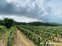 小编和大家说个不错的农家乐九龙生态园