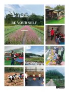 深圳龙岗美丽乡村农家乐九龙生态园