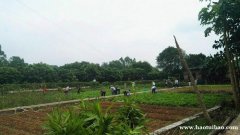 深圳龙华小编推荐周边一日游农家乐