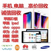 锡山区回收手表包包奢侈品，黄金钻戒回收手机电脑回收，成信奢品