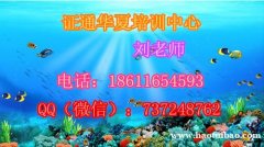 遂宁质量员施工员安全员哪个专业有前途 报名条件