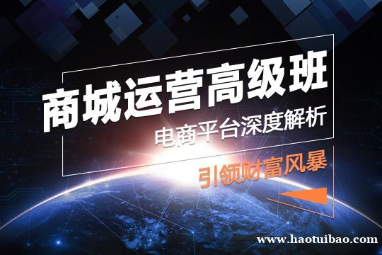 上海电商运营培训 快速上手拿高薪 上海电商运营培训 快速上手拿高薪