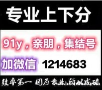 91y上下分银商比例