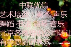 北京市转让各类培训机构执照海淀体育书法舞蹈器乐转让执照