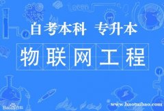 正规专升本考试难度小自考本科物联网工程专业有学位