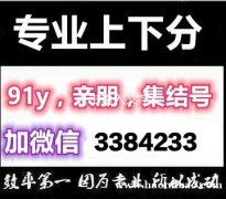 91y充值金币上分下分