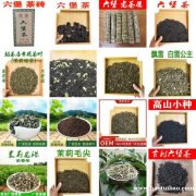 厂家直销广西六堡茶 横县茉莉花茶