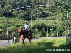 推荐一个公司团建的好去处的农家乐
