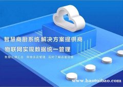 新一代物联网智能商厨系统——中高端餐饮新宠