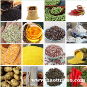 农家自产杂粮批发贸易 基地供应红腰豆