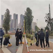 双流坐标测量培训房建测量随到随学