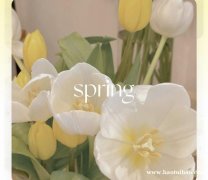 南京栖霞回收手表包包去哪里？黄金钻戒回收手机电脑正规，成信奢