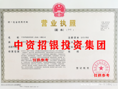 高端特批海南自贸区投资集团