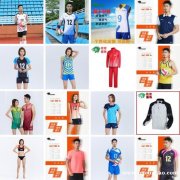 乒羽服 T恤 卫衣 团体服装 校服