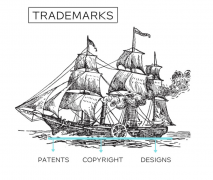 您是否保护了您最显眼的资产？