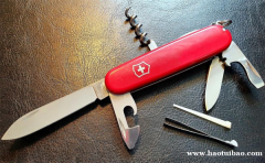 "瑞士"地理标志的良好声