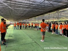 深圳周边公司团建去哪玩