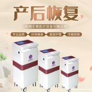 低频产后仪（产后康复仪）