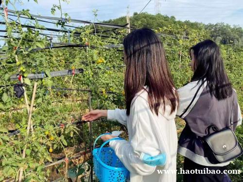 深圳周边农家乐哪里的好玩 深圳周边农家乐哪里的好玩