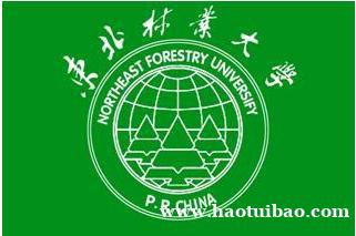 东北林业大学专、本科艺术设计专业助学具体安排 东北林业大学专、本科艺术设计专业助学具体安排