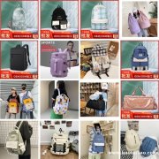 新款潮流拉链式双肩背包