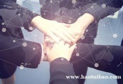 顶越财务咨询公司为你的企业保驾护航