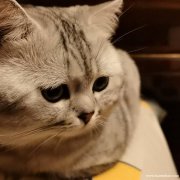 出抖音私信粉，交友粉，男粉，兼职粉wz粉，微信群推引流，朋友