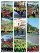 深圳周边户外场地适合出团建亲子游