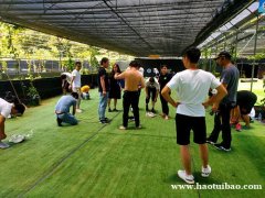 坪山公司团建好去处户外活动必打卡