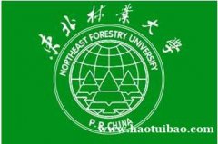 软件工程专业在哪考 东北林业大学助学自考本科通过率高