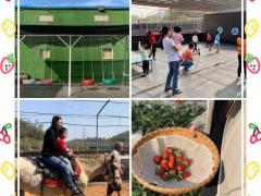 深圳农家乐适合团建拓展推荐