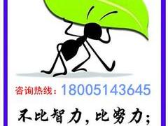 五年制专转本旅游管理专业抓住备考重点，针对性学习才是王道！