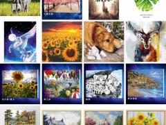 5D钻石画 DIY满钻 带框 无框