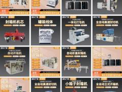 电商自动包装设备 食品后道自动包装机