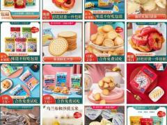 饼干果粒酸奶 葵花子 炒货坚果蜜饯