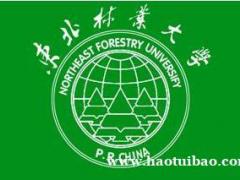 东北林业大学自考专科艺术设计专业 都说好考通过率怎么样