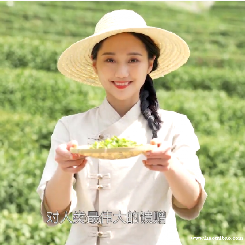 ,温馨呵护——茶益康 ,温馨呵护——茶益康