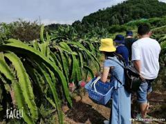 深圳周边可以自己野炊做饭可以烧烤的户外场地有