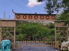 农家乐野炊适合吗九龙生态园必去