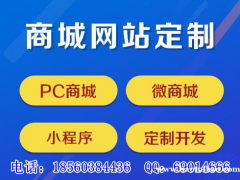 商城系统开发，微商城，购物商城，电子商城，小程序商城定制