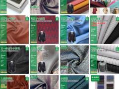 全涤大小提花 人丝大小提花 涤塔